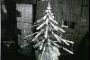 54360main_Skylab4_tree.jpg
