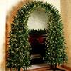 christmas-tree-arch-sm.jpg